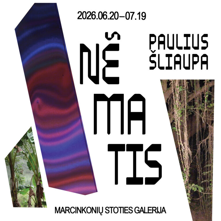 Paulius Šliaupa       Nẽmatis